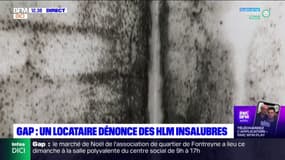 Hautes-Alpes: à Gap, un locataire dénonce des HLM insalubres