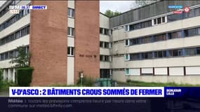 Cafards, dégâts des eaux... deux bâtiments du Crous sommés de fermer à Villeneuve-d'Ascq
