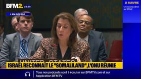 À l'ONU, les États-Unis défendent le droit d'Israël à reconnaître le Somaliland