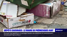 Nord: le maire de Prémesques agit face aux dépôts sauvages