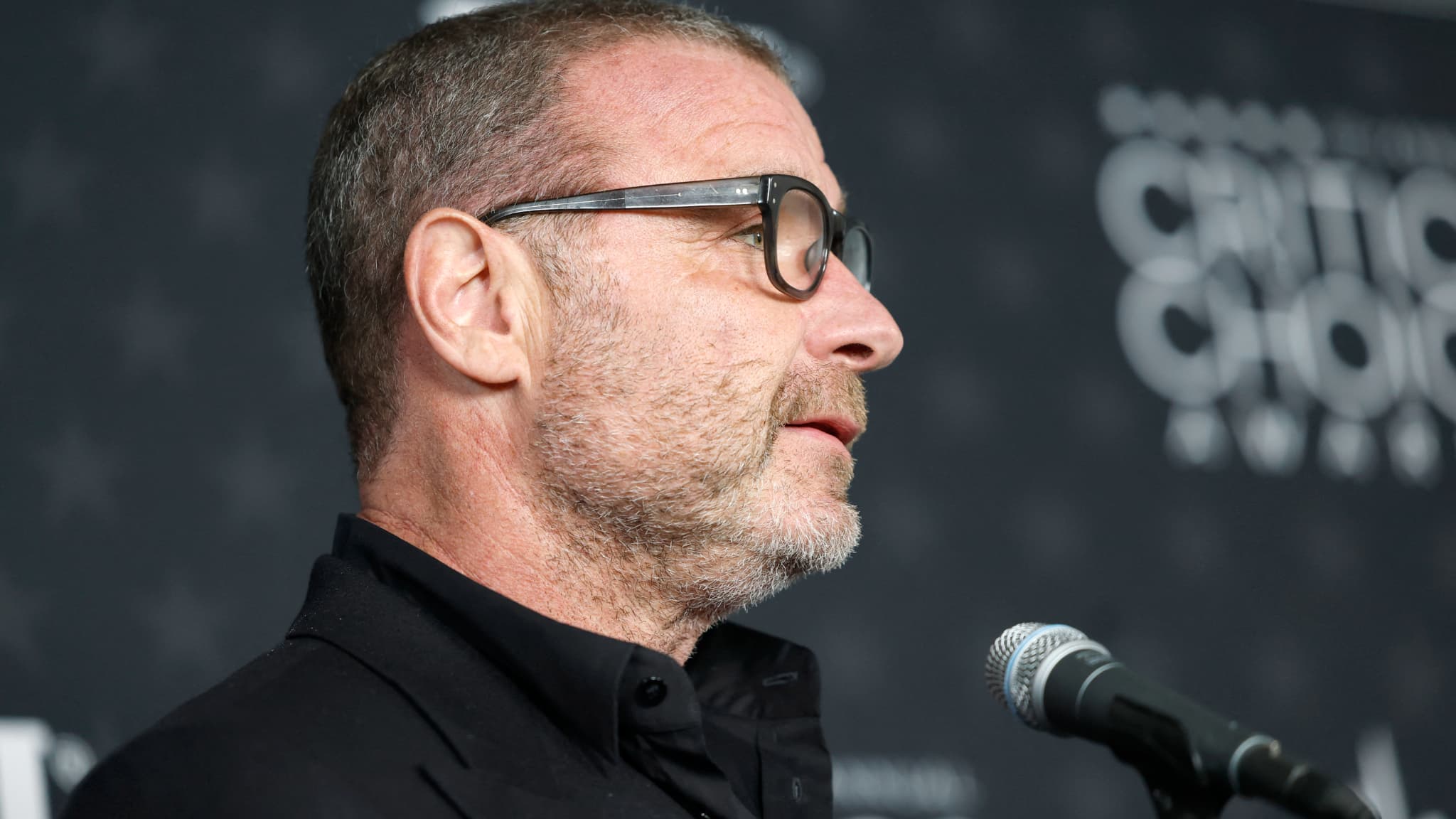 LIEV SCHREIBER, JENNIFER JASON LEIGH... 1.200 PERSONNALITÉS DÉNONCENT LE BOYCOTT DES INSTITUTIONS CINÉMATOGRAPHIQUES ISRAÉLIENNES