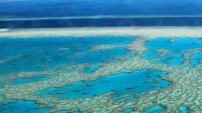 La Grande barrière de corail, classé au patrimoine mondial de l'humanité, est aujourd'hui dans un état jugé préoccupant. 