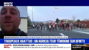 68 de ses bêtes ont été abattues: cet agriculteur témoigne sur BFMTV