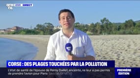 Où en est la pollution aux hydrocarbures au large de la Corse ?