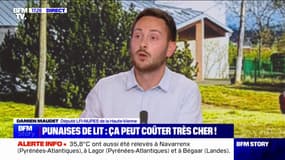 Punaises de lit: "On pense qu'il faut un fond d'indemnisation", affirme Damien Maudet (LFI)