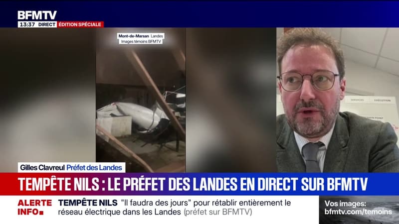 Tempête Nils: le chauffeur de poids lourd mort a été tué par une branche "tombée sur la cabine", confirme le préfet des Landes