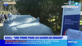 Marseille : Samia Ghali propose de donner "une prime pour les saisies de drogue" aux policiers