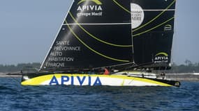Apivia