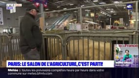 Salon de l'agriculture: "Une communion entre nous et le grand public"