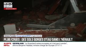 Crues-inondations: des arbres se sont abattus sur des habitations dans l'Hérault