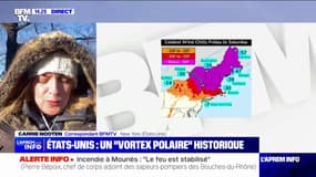 Les États-Unis et le Canada sous un "vortex polaire" historique 