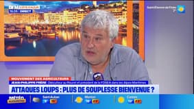 Mouvement des agriculteurs - Attaques loups : plus de souplesse bienvenue ? 