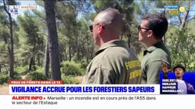 Bouches-du-Rhône: les forestiers sapeurs sur le qui-vive face aux risque de feux de forêt
