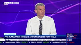 Nicolas Doze : Bruno Le Maire menace les industriels sur les prix alimentaires - 06/06