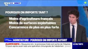 Jusqu'à 20% de son alimentation: pourquoi la France importe autant de produits agricoles