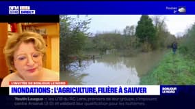 Inondations dans le Pas-de-Calais: des dégâts encore en cours chez les agriculteurs