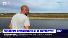Pas-de-Calais: un grand chantier a débuté pour redonner de l'eau au platier d'Oye