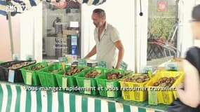Top 14 - Victor Vito : Parachuté de Wellington à La Rochelle