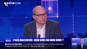 "Le bon sens, c'est de respecter la loi": la réaction du député écologiste David Cormand, opposé à la reprise des travaux de l'A69