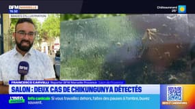 JT du Sud du mercredi 25 juin