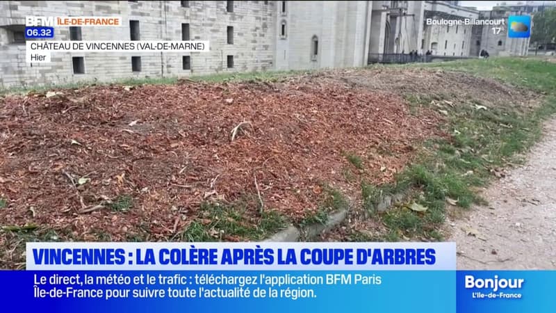 Vincennes: les habitants en colère après la coupe de 18 arbres devant le château