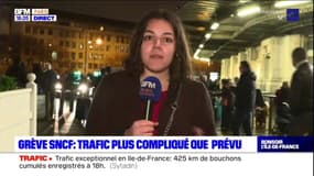 Grève à la SNCF: les voyageurs parisiens s'adaptent, certains partent plus tôt