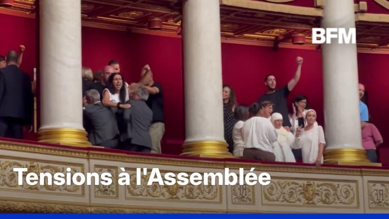 Présomption d'usage légitime des armes par les forces de l'ordre: la proposition de loi approuvée à l'Assemblée à l'issue d'une séance sous très haute tension