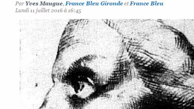 Le portrait signé Léonard de Vinci, a-t-il bien été exécuté de la main du génie?