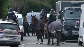 Après la découverte du corps de Louise, 11 ans, dans un bois en Essonne, une importante battue a été organisée dimanche.