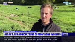 Alsace: les agriculteurs de montagne inquiets sur le changement des normes agro-environnementales