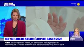 Hauts-de-France: le taux de natalité en baisse en 2023