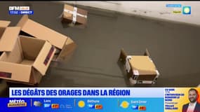 "C'est un carnage": les dégâts des orages dans le Nord-Pas-de-Calais