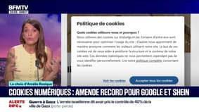 LE CHOIX D'AMÉLIE - Cookies numériques: amende record pour Google et Shein