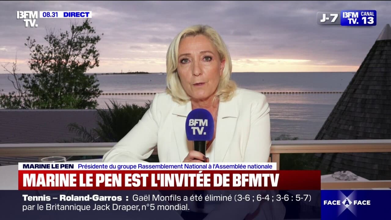 Marine le pen: 