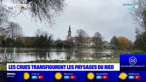 Bas-Rhin: les crues transfigurent les paysages du ried