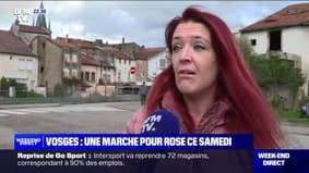 Vosges: "It's disgusting, aberrant and sad"the incomprehension of the inhabitants of Rambervillers 