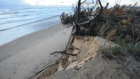 Le reste humain a été découvert sur la plage de l'Embellie. (image d'illustration)