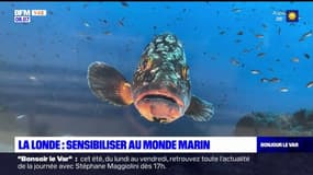 La Londe-les-Maures: la ville retenue pour sensibiliser au monde marin dans le cadre du projet Neptune 