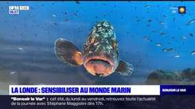 La Londe-les-Maures: la ville retenue pour sensibiliser au monde marin dans le cadre du projet Neptune 