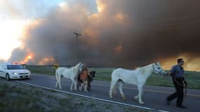 Des habitants et leurs animaux fuient les incendies près de Colorado Springs.