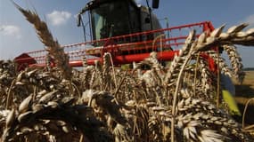 Le gouvernement annonce un plan d'action visant à juguler la flambée des prix des céréales dont la volatilité menace les éleveurs, avec notamment des initiatives pour coordonner une réponse européenne et avec les autres grandes puissances mondiales du G20