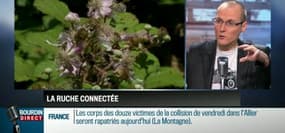 La chronique d'Anthony Morel: La technologie à la rescousse des abeilles - 29/03
