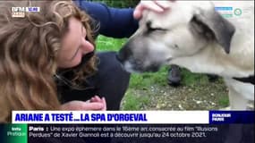 J'ai testé le refuge de la SPA d'Orgeval pour adopter un animal