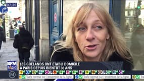 L'essentiel de l'actualité parisienne du samedi 18 février 2017