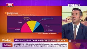 Législatives : "Une victoire en trompe-l'œil du Nouveau Front populaire", juge Karl Olive, député Renaissance des Yvelines