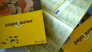 Le groupe est confrontée à la baisse continue de ses ventes d'annuaires papiers.