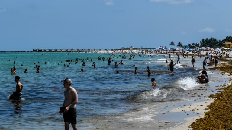 Une plage de Miami rouverte au public, le 10 juin 2020 en Floride (illustration)