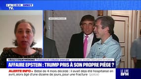 Affaire Epstein: "Le narratif n'est plus du tout maîtrisé par la Maison Blanche" explique Cécile Coquet-Mokoko, professeure de civilisation américaine  