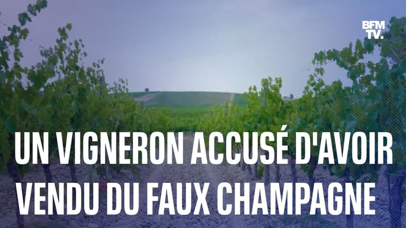 Un vigneron est accusé d'avoir vendu près de 2 millions de bouteilles de faux champagne