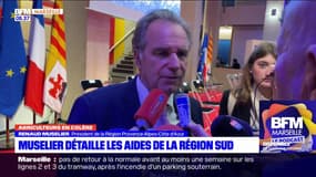 Colère des agriculteurs: Renaud Muselier détaille les aides de la région Provence-Alpes-Côte d'Azur